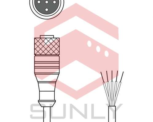 Dây cáp kết nối CB-M12-25000-5GF