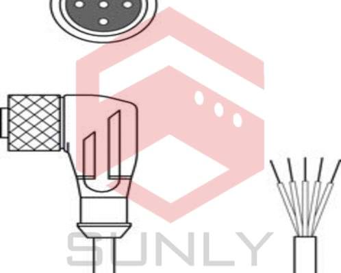 Dây cáp kết nối CB-M12-25000S-5WF