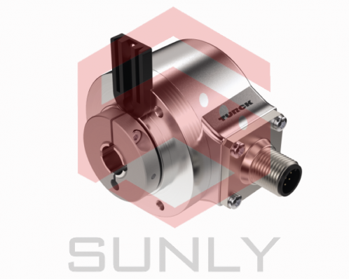 Bộ mã hóa RI-10S10R-4A2500-10MIL