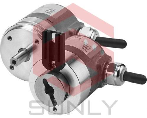 Bộ mã hóa RS-44S8S-3C17B-CT 1M