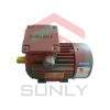Siemens Electric Motor 1LE0001-DA43-3AA4