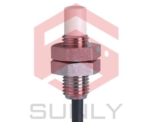 Cảm biến cảm ứng IE5369 IEB3004-BPKG/V4A/2M