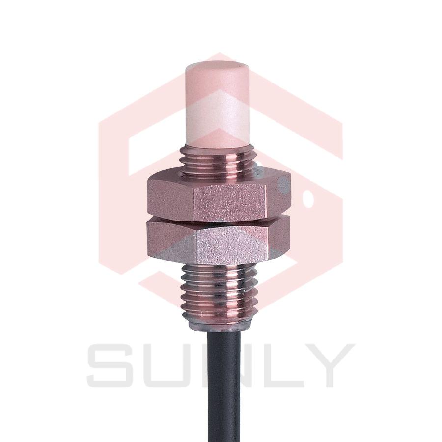 Cảm biến cảm ứng IE5369 IEB3004-BPKG/V4A/2M