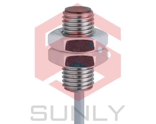 Cảm biến cảm ứng IE5389 IEB31,5-BPKG/4M