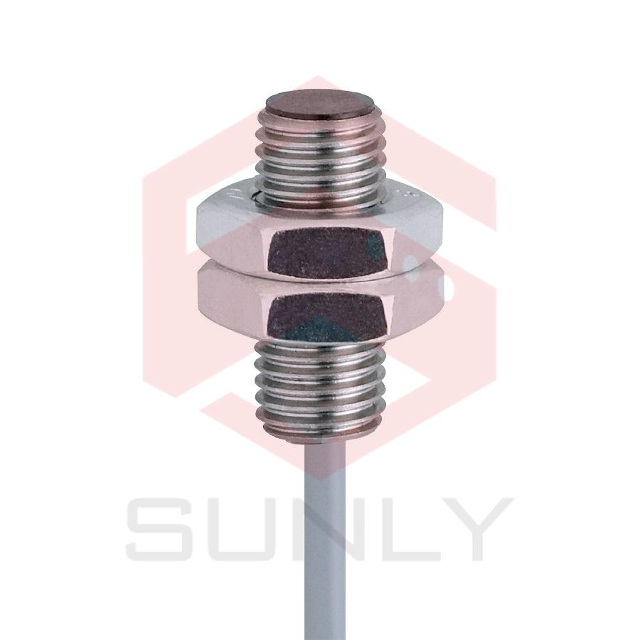 Cảm biến cảm ứng IE5389 IEB31,5-BPKG/4M